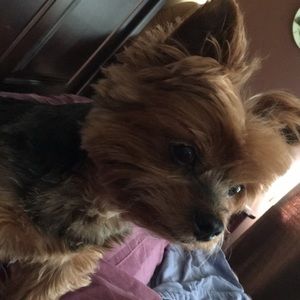 Meet your Posher, Michele